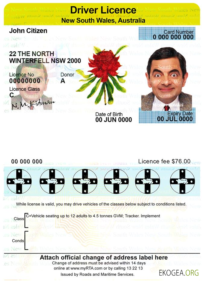 Australia New South Wales driver license